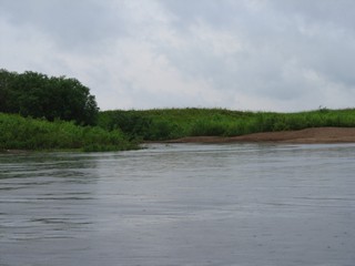 Устье р.Никульчинки (Дмитрий Зонов)