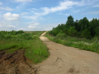 Дорога к золоотвалу ТЭЦ-5 (Дмитрий Зонов)