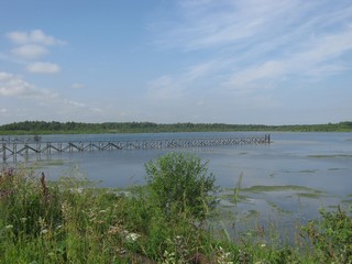 Гидрозолоотвал ТЭЦ-5 (Дмитрий Зонов)