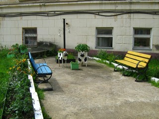 Чепецкие бурёнки (Дмитрий Зонов)