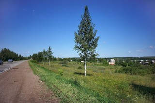 Придорожный пейзаж (ua4wax)