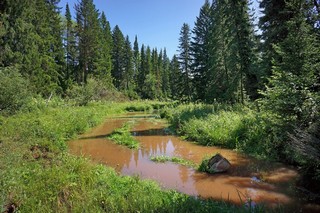 пейзаж (ua4wax)