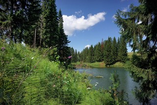 пейзаж (ua4wax)