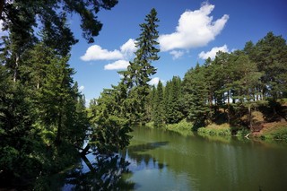 падающая ель (ua4wax)