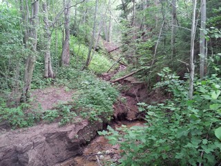 Ravine near the villiage Korovino (Pavel Ermolaev)