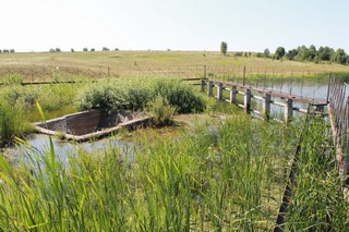 озеро Аганур (Vanya Vshivcev)