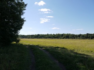 В тени (Никита Боков)