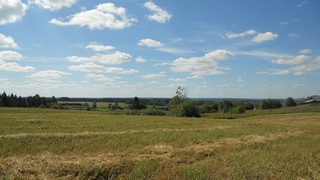 Удмуртские просторы Балезинского района (Andrey Ivashchenko)