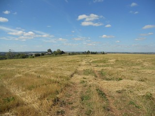 Панорама д. Бурино (Andrey Ivashchenko)