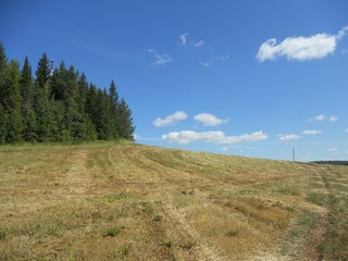 Буринская гора (Andrey Ivashchenko)
