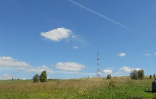 Поле (Andrey Ivashchenko)