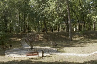 В Александровском парке (Инна Соколова)