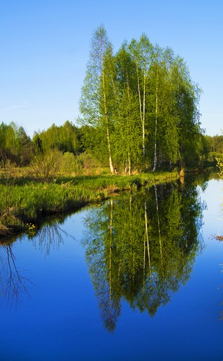 В Белой реке (Master_Team)