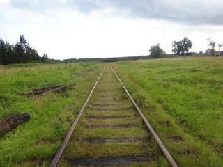 Ветка Сусоловка-Христофорово, Вид в сторону Сусоловки (Laplas Ilya)