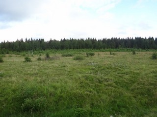 Футбольное поле (Laplas Ilya)