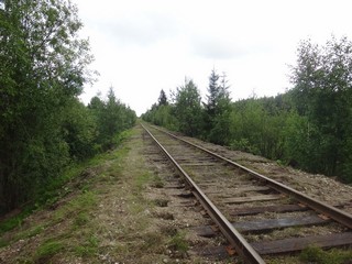 Ветка Сусоловка-Христофорово, Вид в сторону Сусоловки (Laplas Ilya)