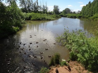 Люльченка (Laplas Ilya)