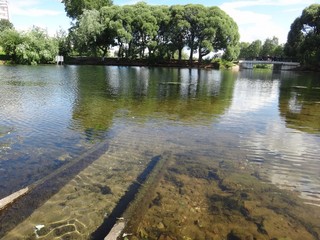 Верхний пруд (Laplas Ilya)