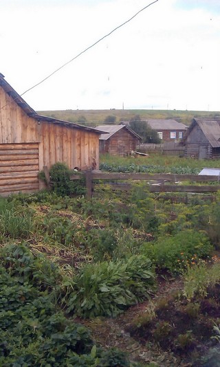 Село Верхнелалье (Alexandr Kropotov)