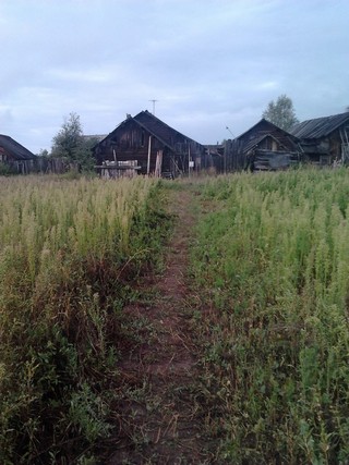 д. Салья (Eugene Untitled)