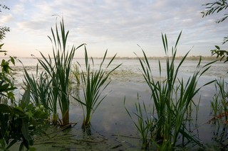 озеро Спасское (Соколов Леонид)