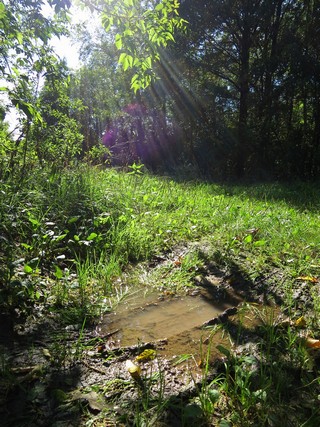 Чужая колея (1). (gogabig)