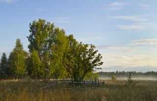 Куклины (Master_Team)