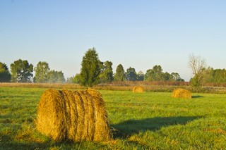 Жёлтая осень (Master_Team)