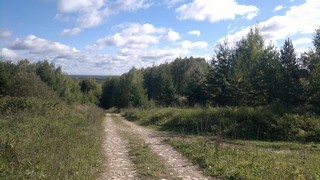 Лохтины дорога к реке (Владимир Голубев)