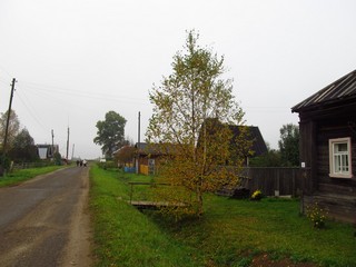 Саватёнки (Савватеевщина) (Дмитрий Зонов)