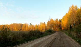 Золотой вечер сентября (Дмитрий Зонов)