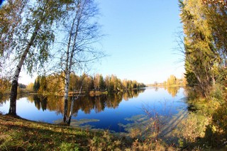 2012. Осень пришла (Михаил Ревин)