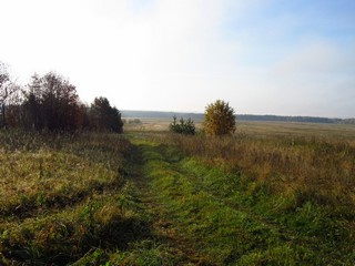 Дорога в сторону р.Велевы (Дмитрий Зонов)