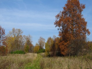 Д.Кривошеины от б/д Шабары (Дмитрий Зонов)