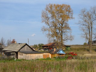 Под тополями (Дмитрий Зонов)