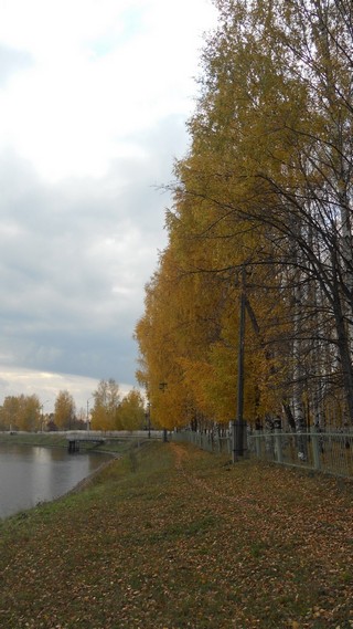 Красавица осень (Andrey Ivashchenko)