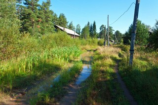 село Александровское (Алексей Трухин)