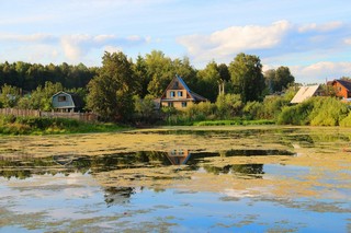 Пруд у огородов, СХВ (Михаил Ревин)