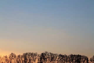 forever (joe freeman)