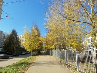 Сентябрь у гимназии им.А.Грина (Дмитрий Зонов)