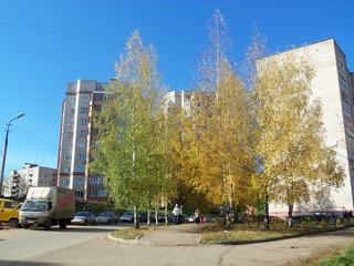 У ул.Лепсе (Дмитрий Зонов)