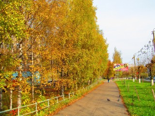 Золото сентября (Дмитрий Зонов)