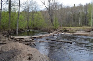 остатки моста через Парат (offroadkazan)