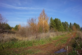 пейзаж (ua4wax)