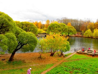 Осенняя картина (Дмитрий Зонов)