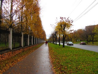 Ул.Горького у парка им.Кирова (Дмитрий Зонов)