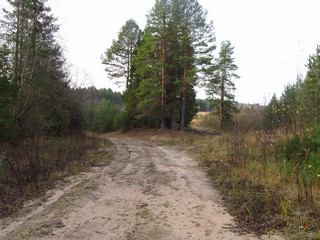 Развилка к броду (Дмитрий Зонов)