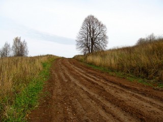 На склоне (Дмитрий Зонов)