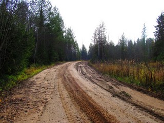 Дорога от р.Плоской к д.Лызгач (Дмитрий Зонов)