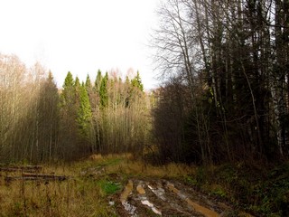 Небольшой off-road (Дмитрий Зонов)